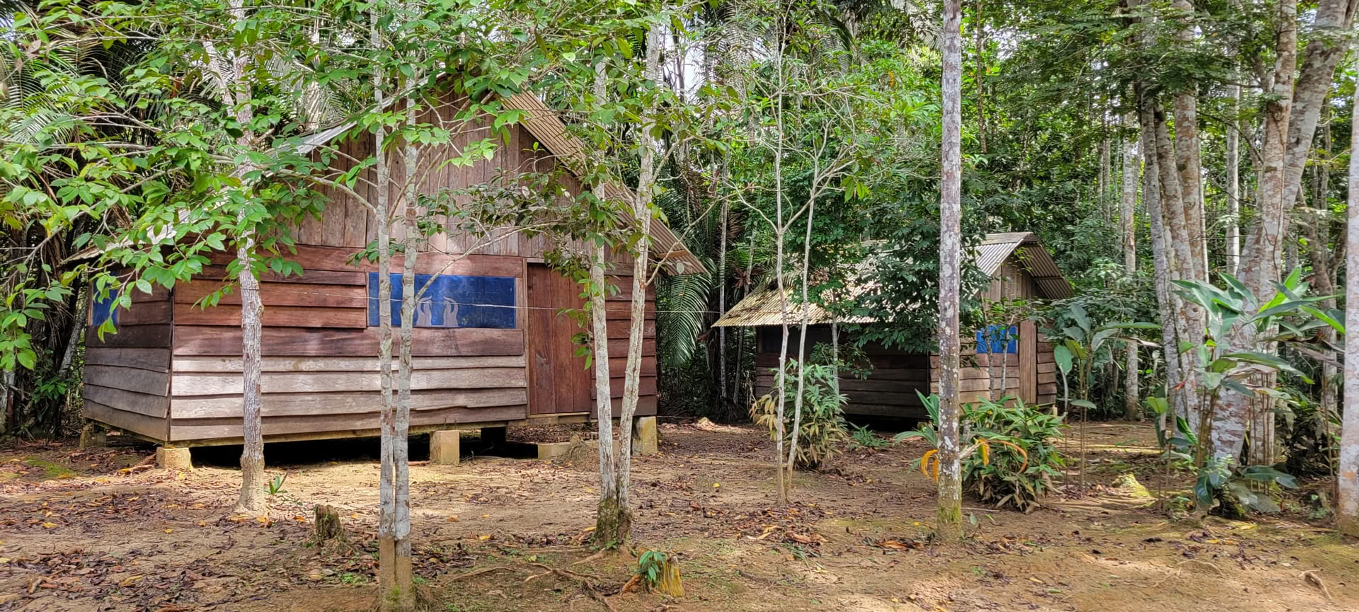 Ayahuasca Retreat Iquitos