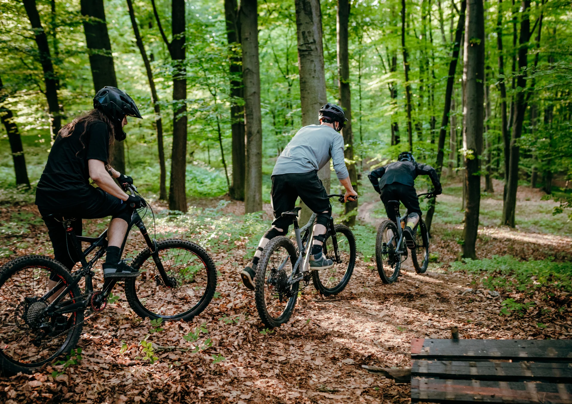 The Forest Frolic