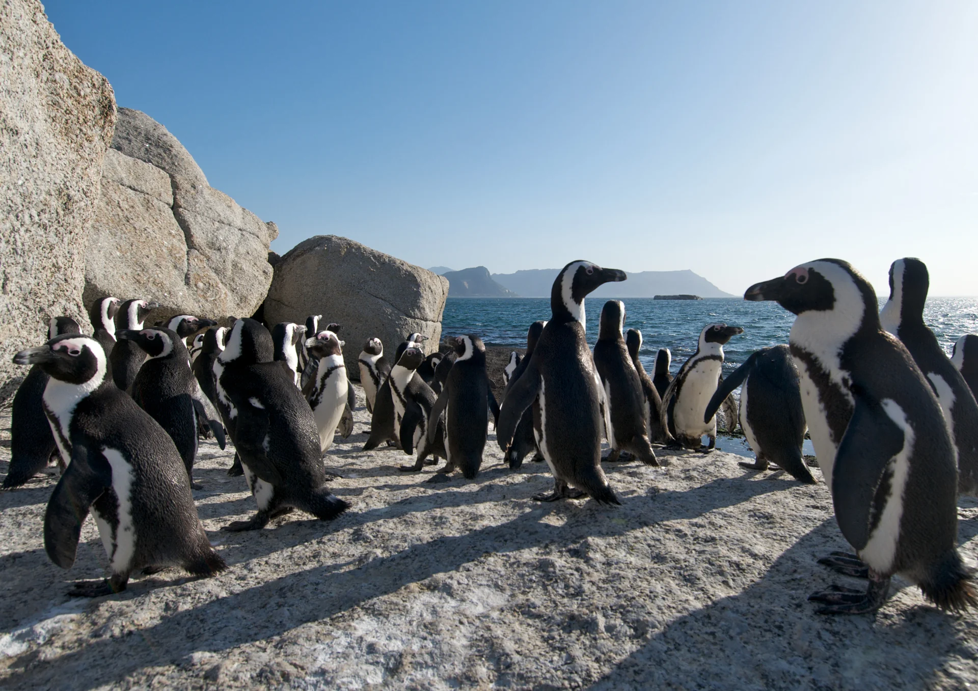 SUP SAFARI & HIKING RETREAT