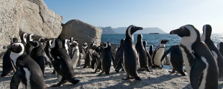 SUP SAFARI & HIKING RETREAT