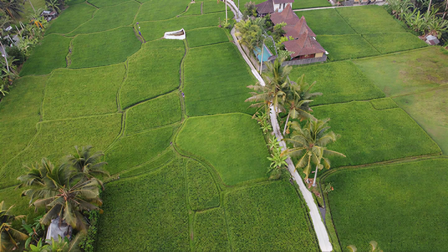Your Week at a Bali Yoga Retreat
