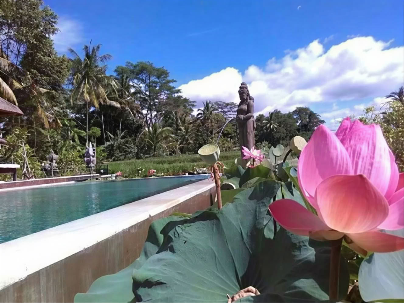 Your Week at a Bali Yoga Retreat