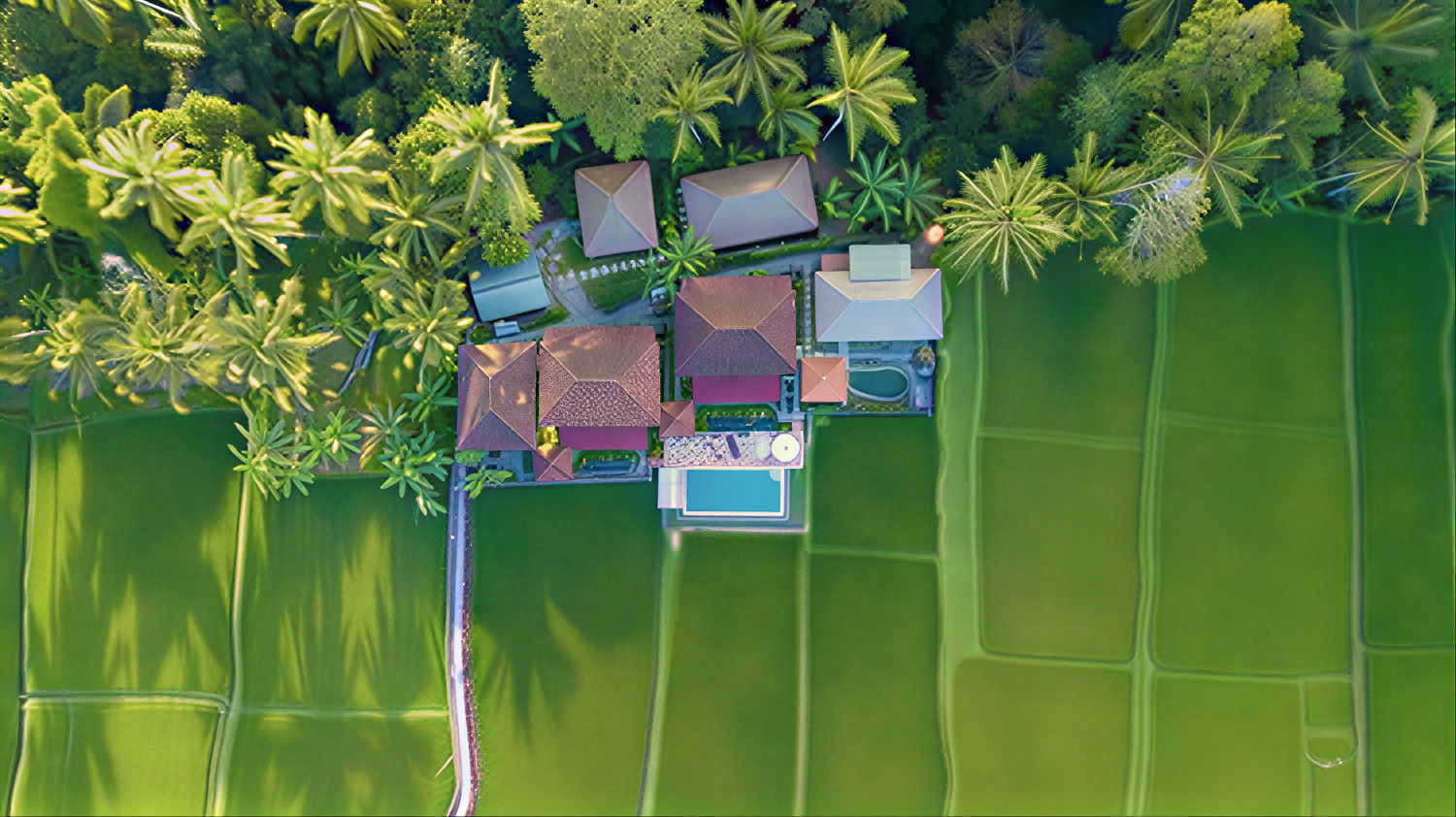 Unforgettable 7-Day Yoga Retreat in Firefly Retreat Bali