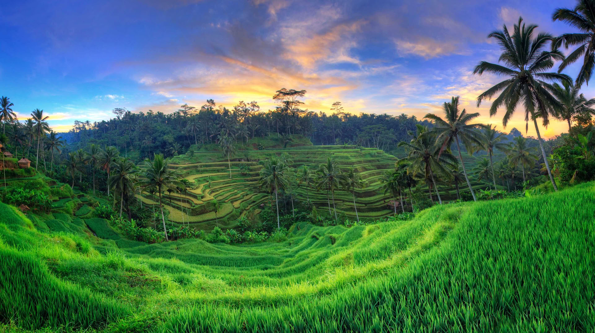 Unforgettable 7-Day Yoga Retreat in Firefly Retreat Bali