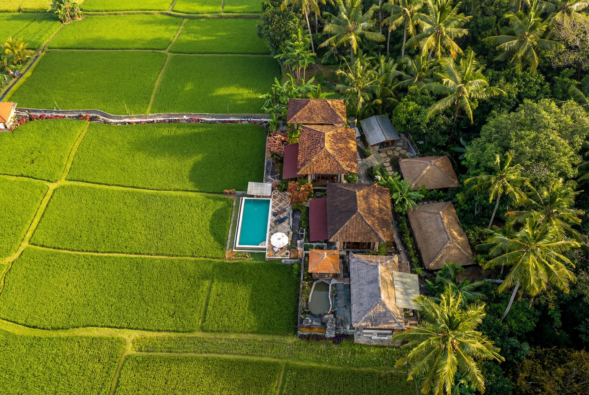 Unforgettable 7-Day Yoga Retreat in Firefly Retreat Bali