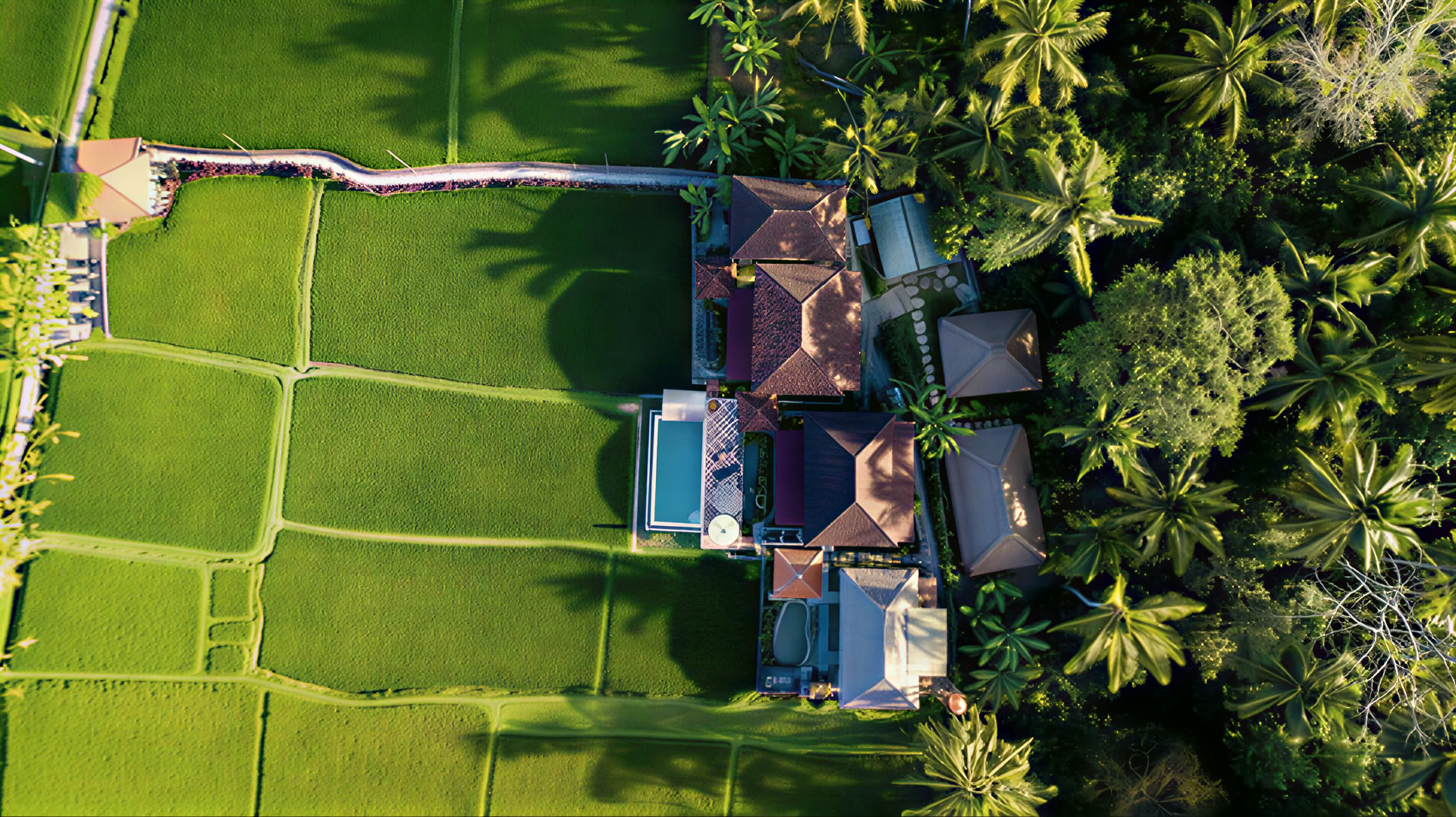 Unforgettable 7-Day Yoga Retreat in Firefly Retreat Bali