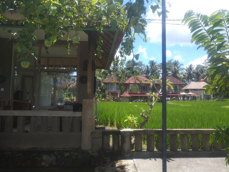 Unforgettable 7-Day Yoga Retreat in Firefly Retreat Bali