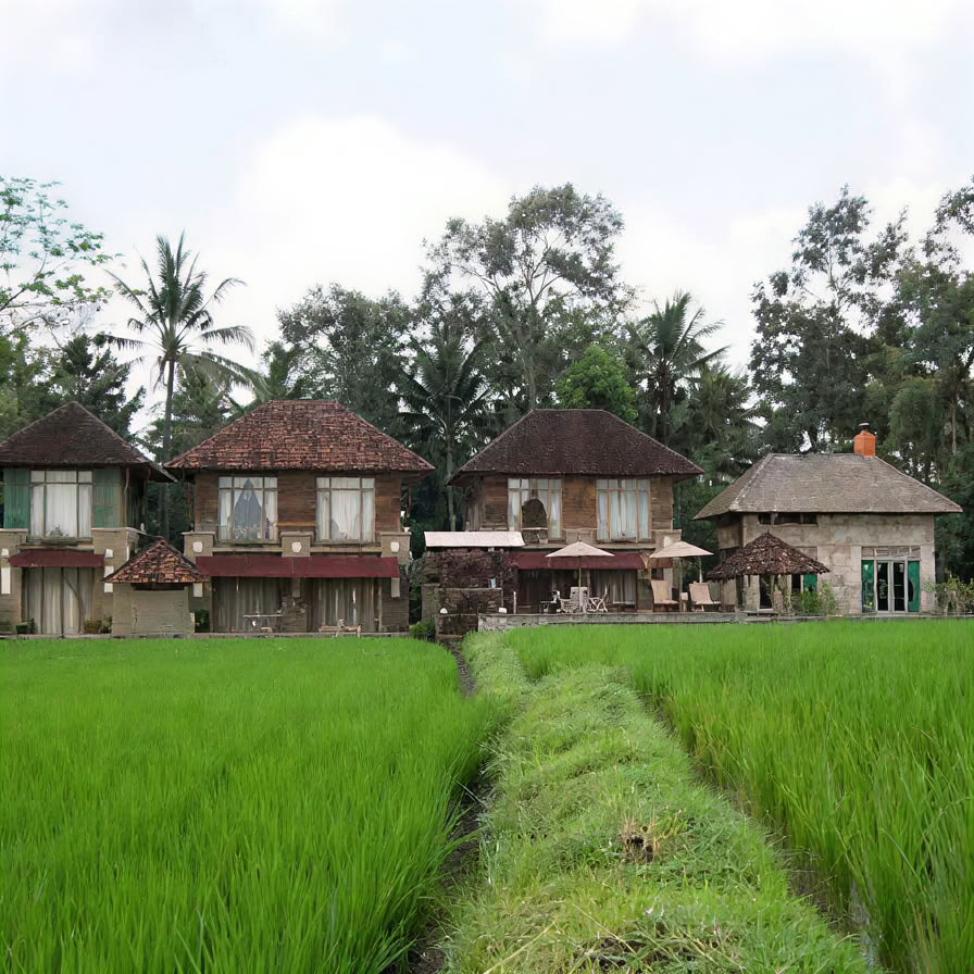 Unforgettable 7-Day Yoga Retreat in Firefly Retreat Bali