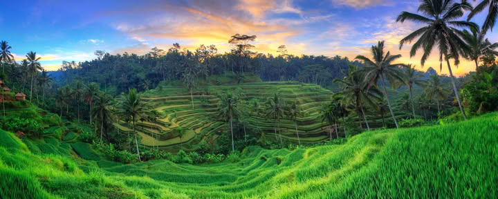 Unforgettable 7-Day Yoga Retreat in Firefly Retreat Bali