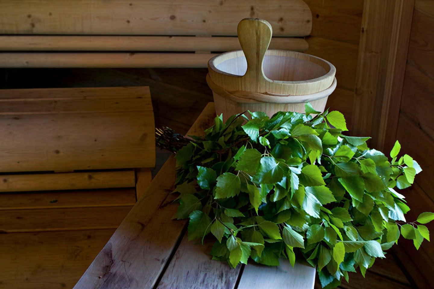 Sauna rental (without program)