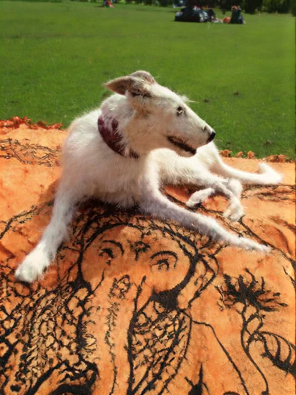 Women's Connecting to Your Inner Goddess Retreat