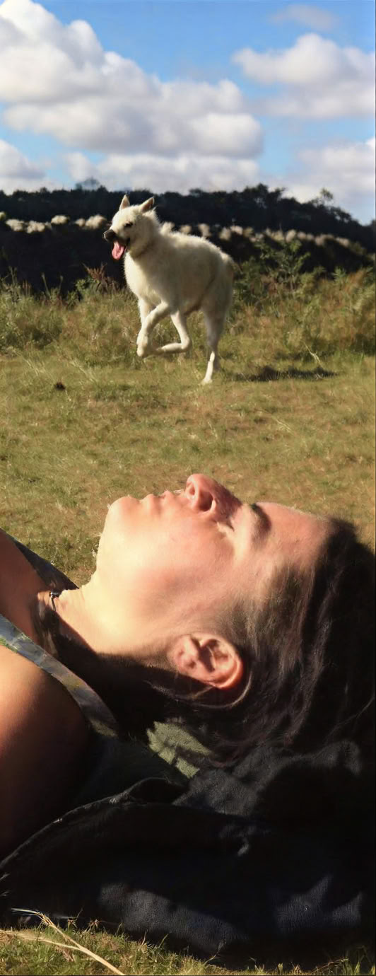 The Art of Massage Course