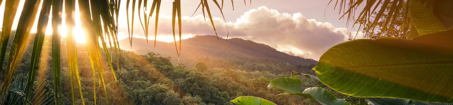 Manuel Antonio National Park Day Tour