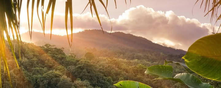 Manuel Antonio National Park Day Tour