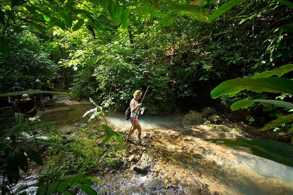 Mountain Yoga Retreat