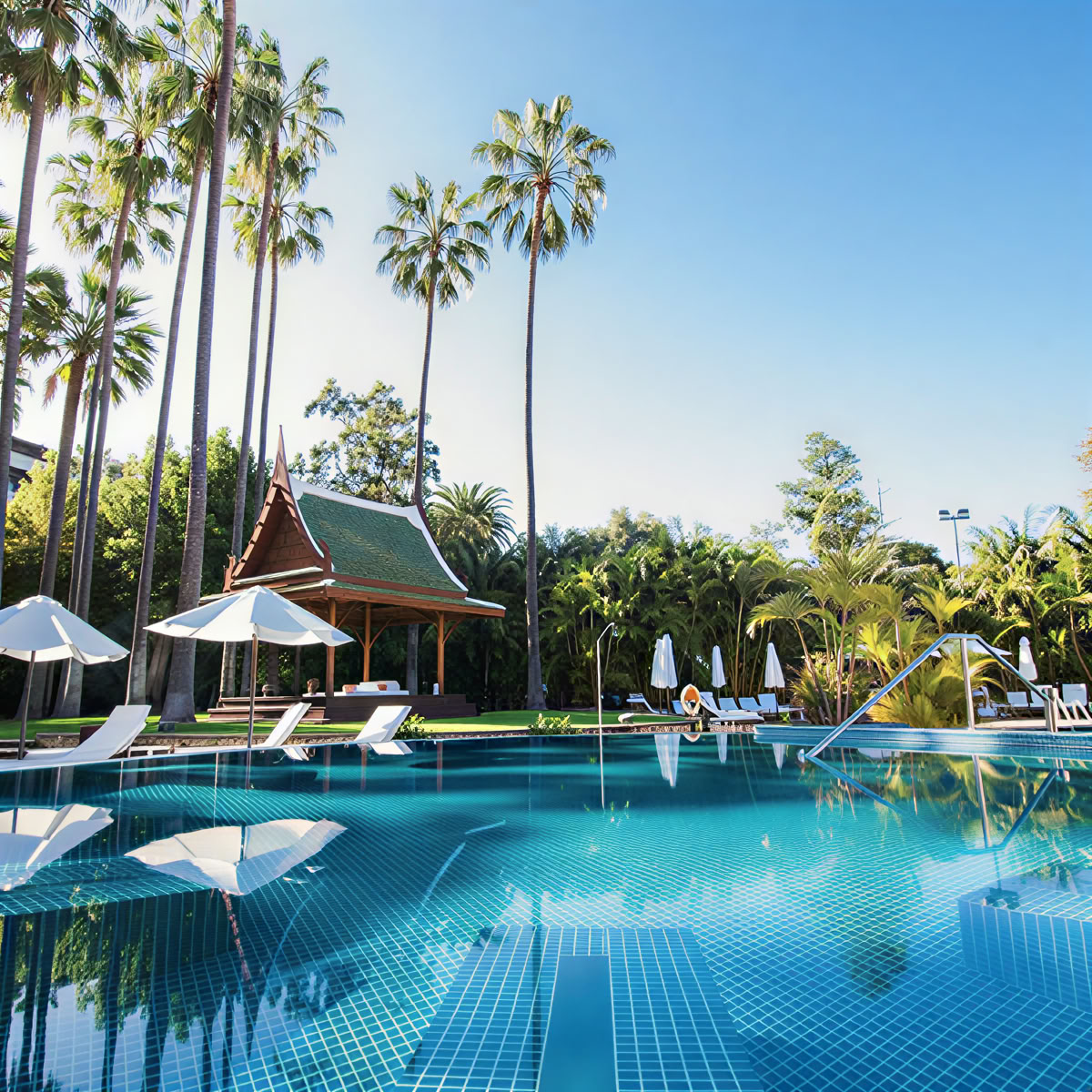 Yoga or Meditation & Wellness Break in Northern Tenerife – 07 Sept – 21 Oct 2026