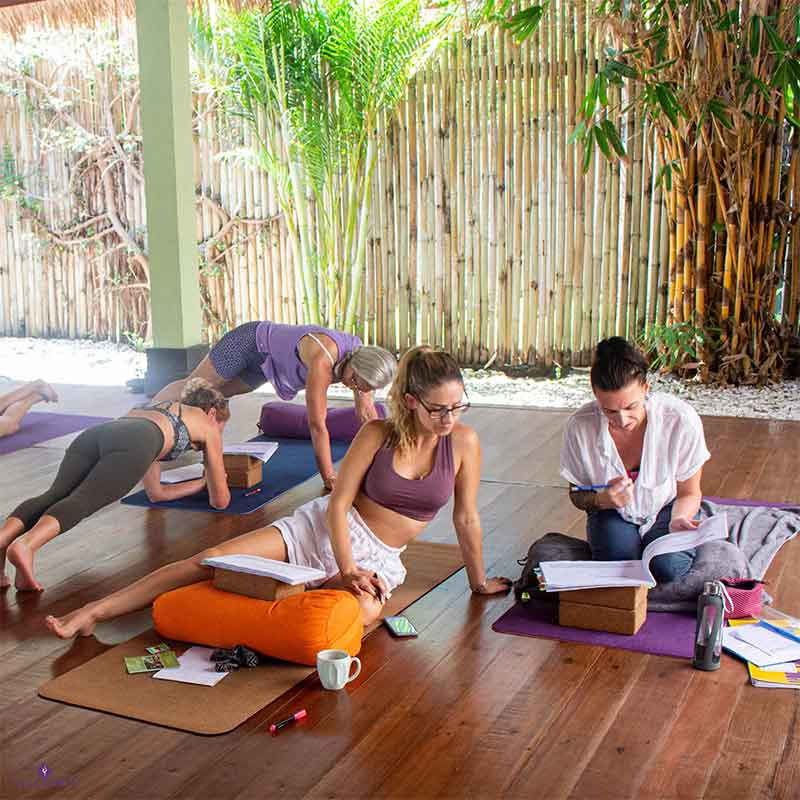 110h Anatomy & Vinyasa Yoga Teacher Training