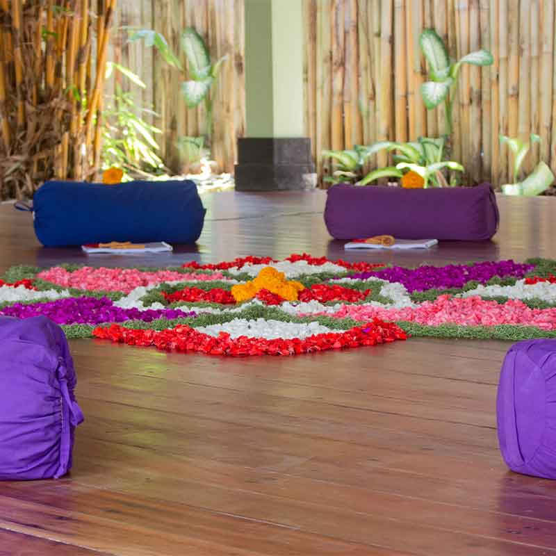 110h Anatomy & Vinyasa Yoga Teacher Training