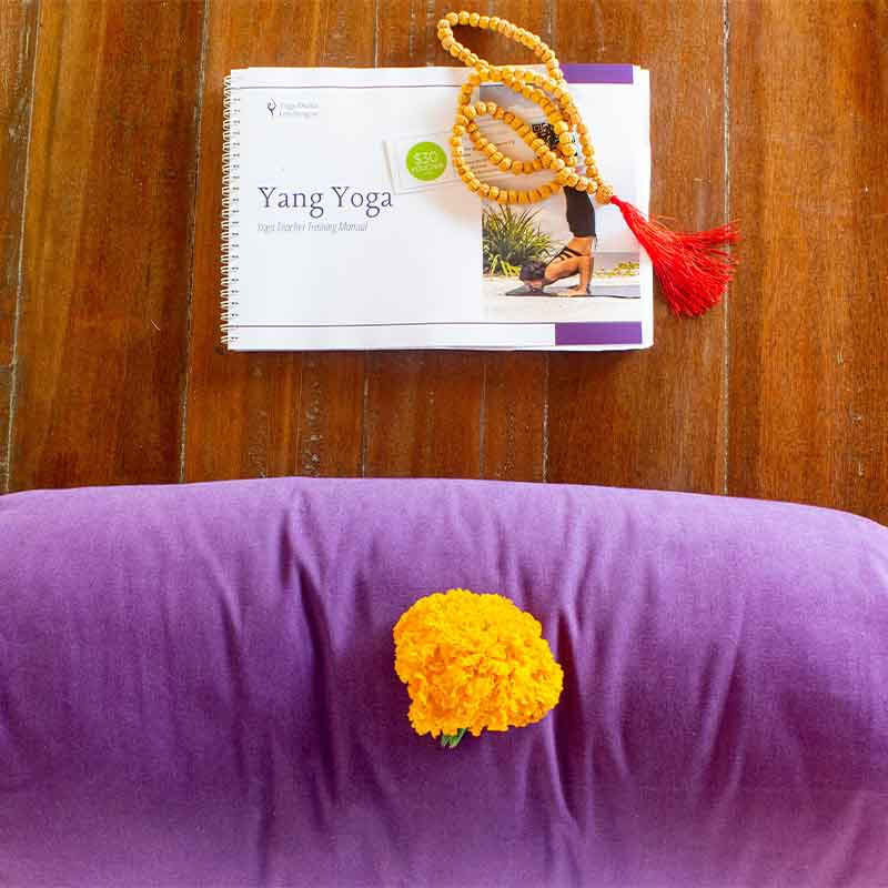 110h Anatomy & Vinyasa Yoga Teacher Training