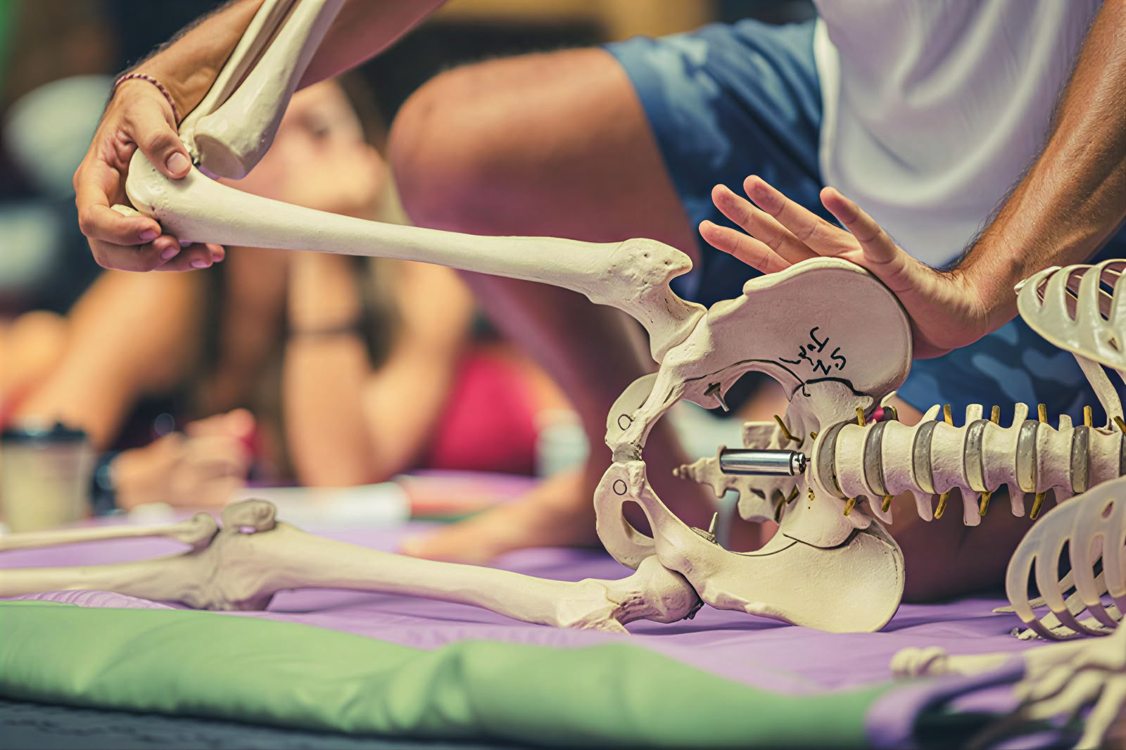 Fascia Universe 125hr Advanced Yoga & Somatics Training