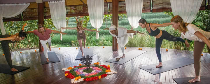 Eco-Luxury Nature and Adventure Retreat