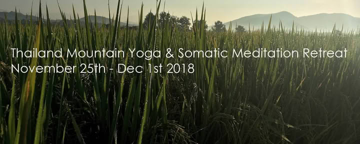 Somatic Meditation Yoga Retreat Chiang Mai, Thailand