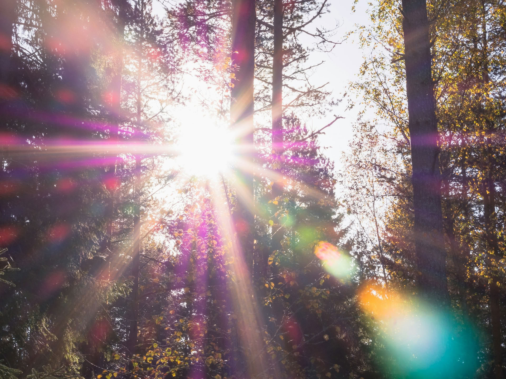 Sistertalk Retreats - LATE SUMMER GLOW: Mineral/Nature Element Retreat — Wild Nature Retreats