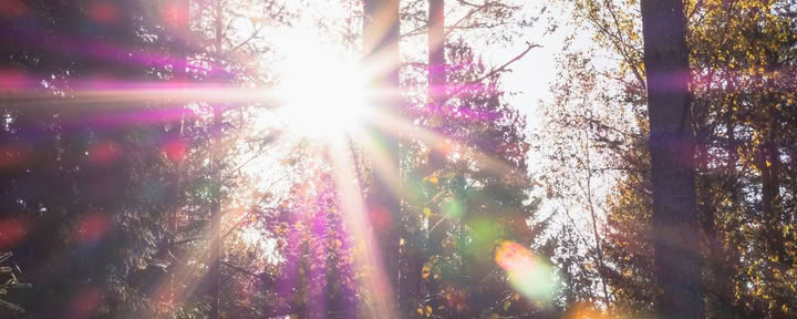 Sistertalk Retreats - LATE SUMMER GLOW: Mineral/Nature Element Retreat — Wild Nature Retreats