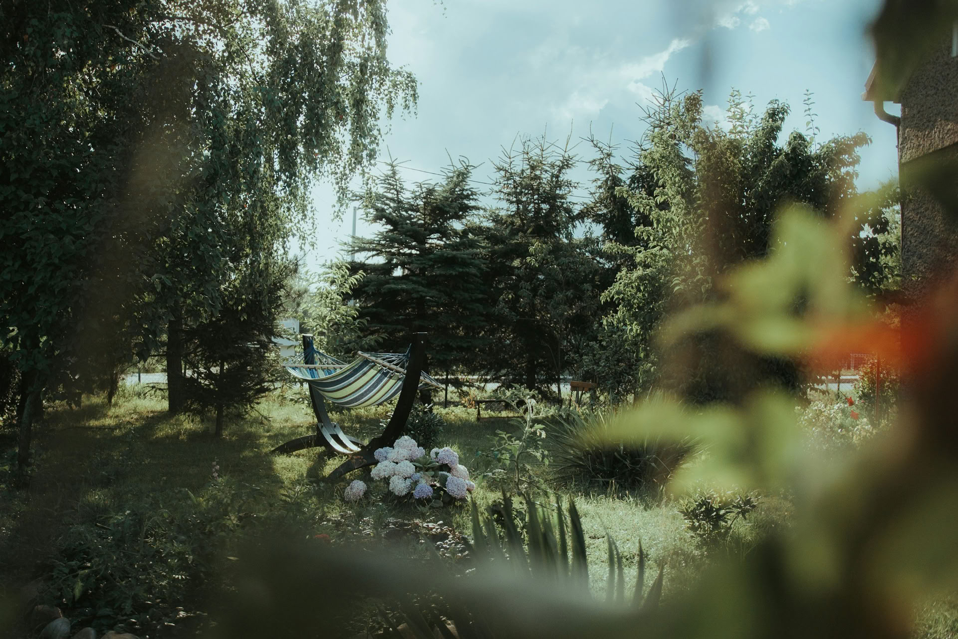 ForREST Retreat: Emerge In Bloom — Wild Nature Retreats