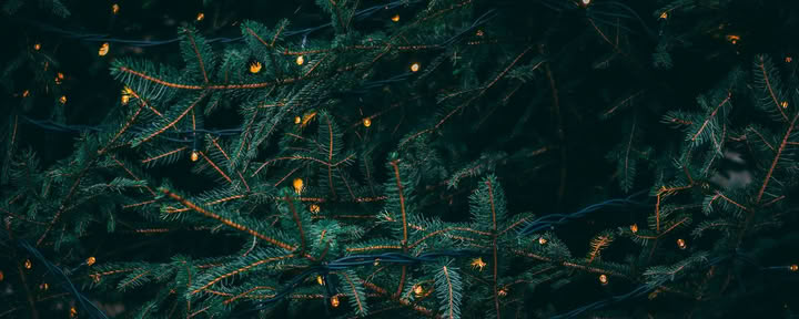 Winter Solstice Retreat - December 19th-20th Hosted By Wild Nature with Erin Moe — Wild Nature Retreats