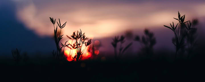 Solstice Retreat Series: Fall Equinox Celebration with Erin Moe — Wild Nature Retreats