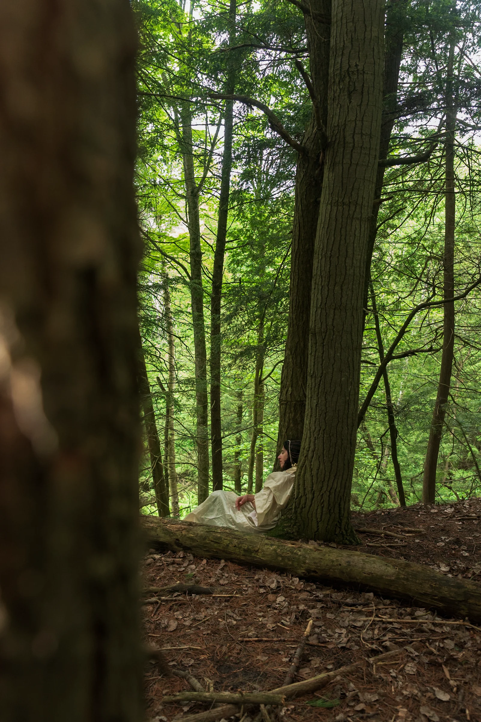 Solstice Retreat Series: National Indigenous Peoples Day - Summer Begins with Erin Moe — Wild Nature Retreats