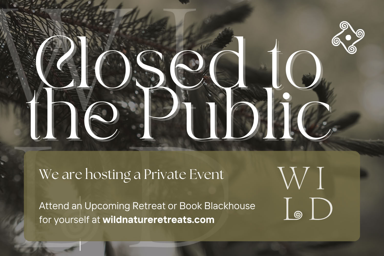 Revolutionary Dreaming: Black Futures Flourishing with Black-Centric Thought Leaders in BlackSpace — Wild Nature Retreats