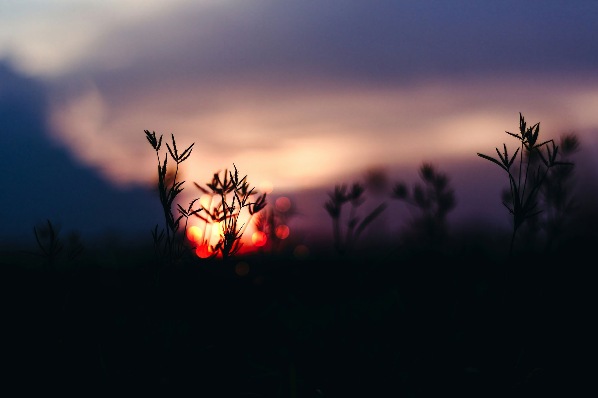 Creative Rest: Fall Retreat