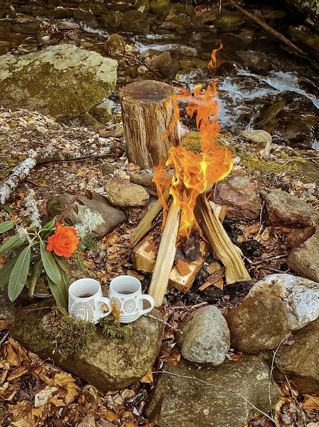 2026 WOMEN'S REWILDING RETREAT