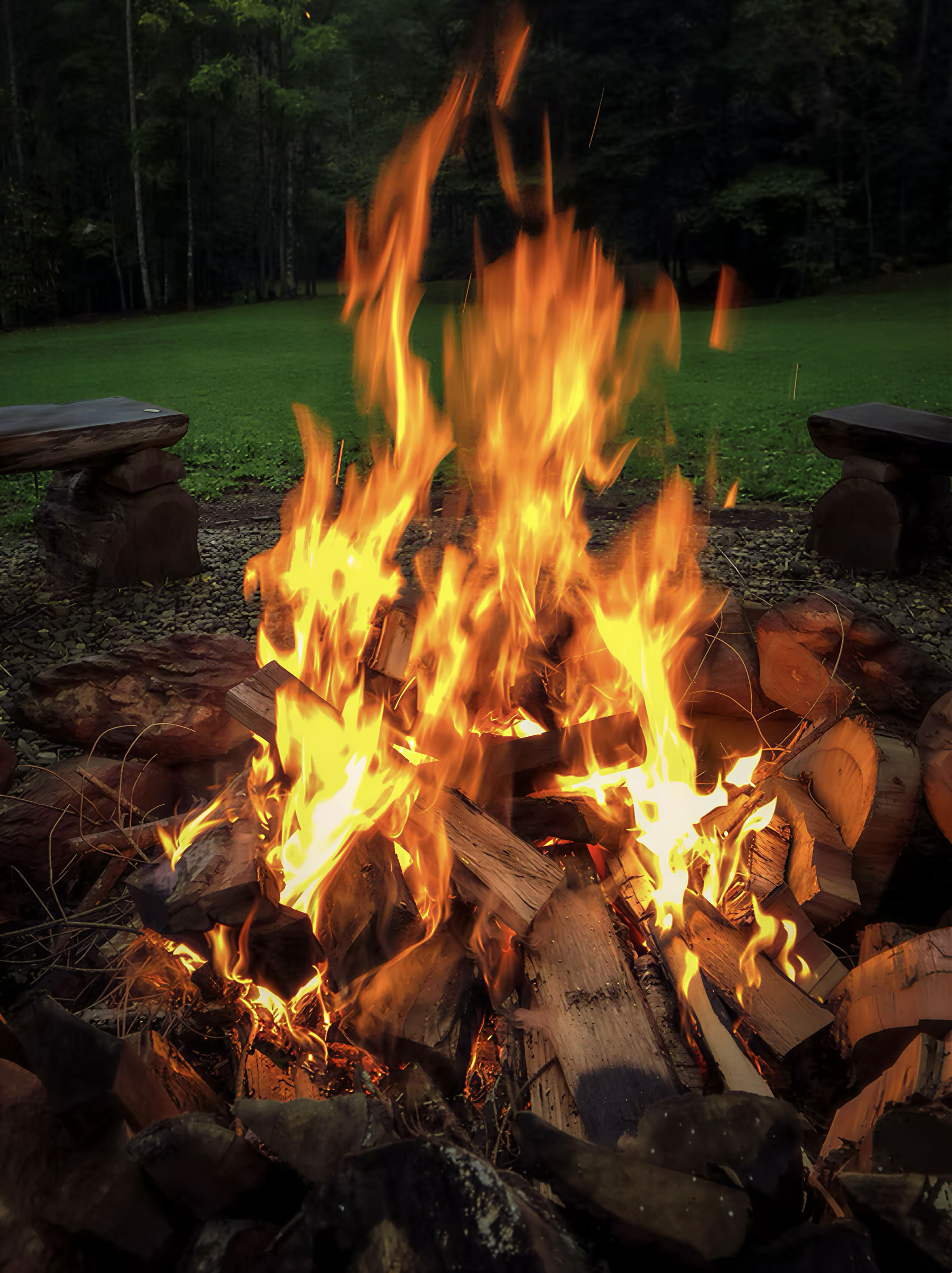 2026 WOMEN'S REWILDING RETREAT