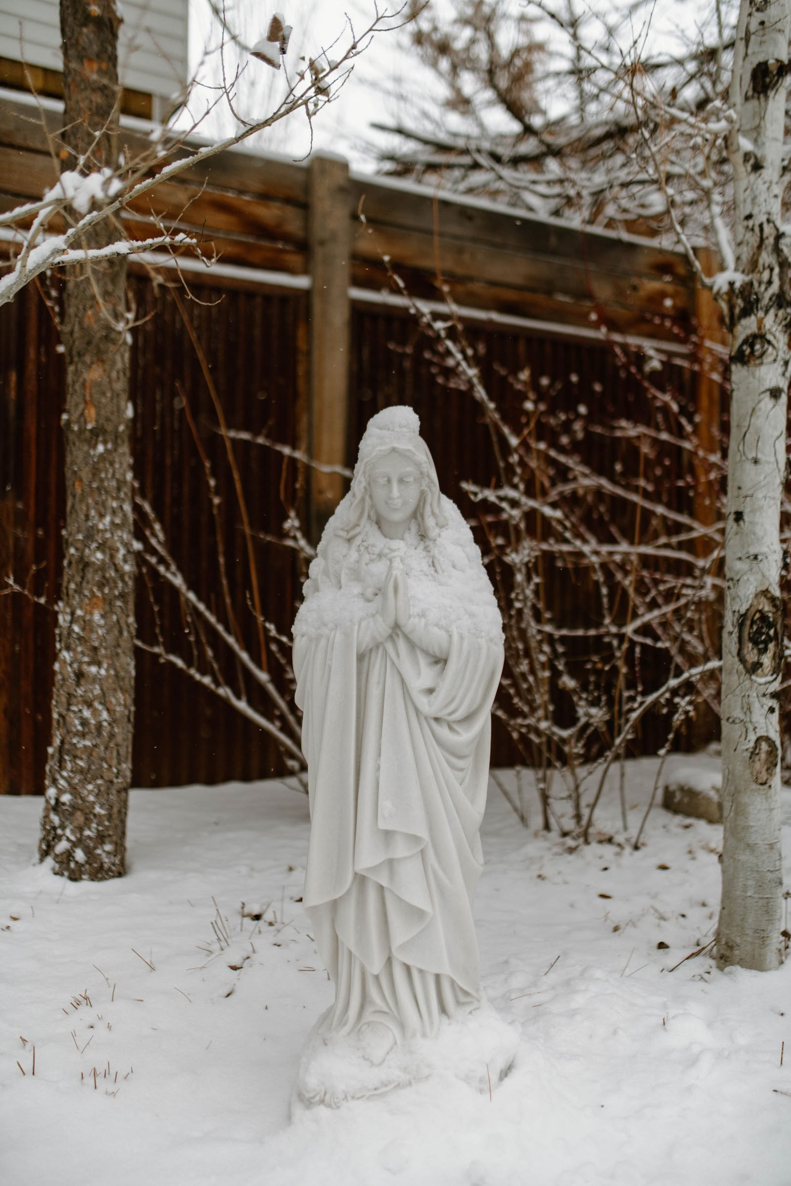 Red Thread: International Qigong Institute | True Nature - Carbondale, CO