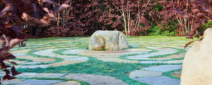 Red Thread: International Qigong Institute | True Nature - Carbondale, CO