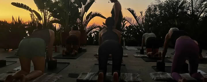 The Reset Retreat: An Opportunity to Anchor & Exhale with Carolyn Anne Budgell — la joya