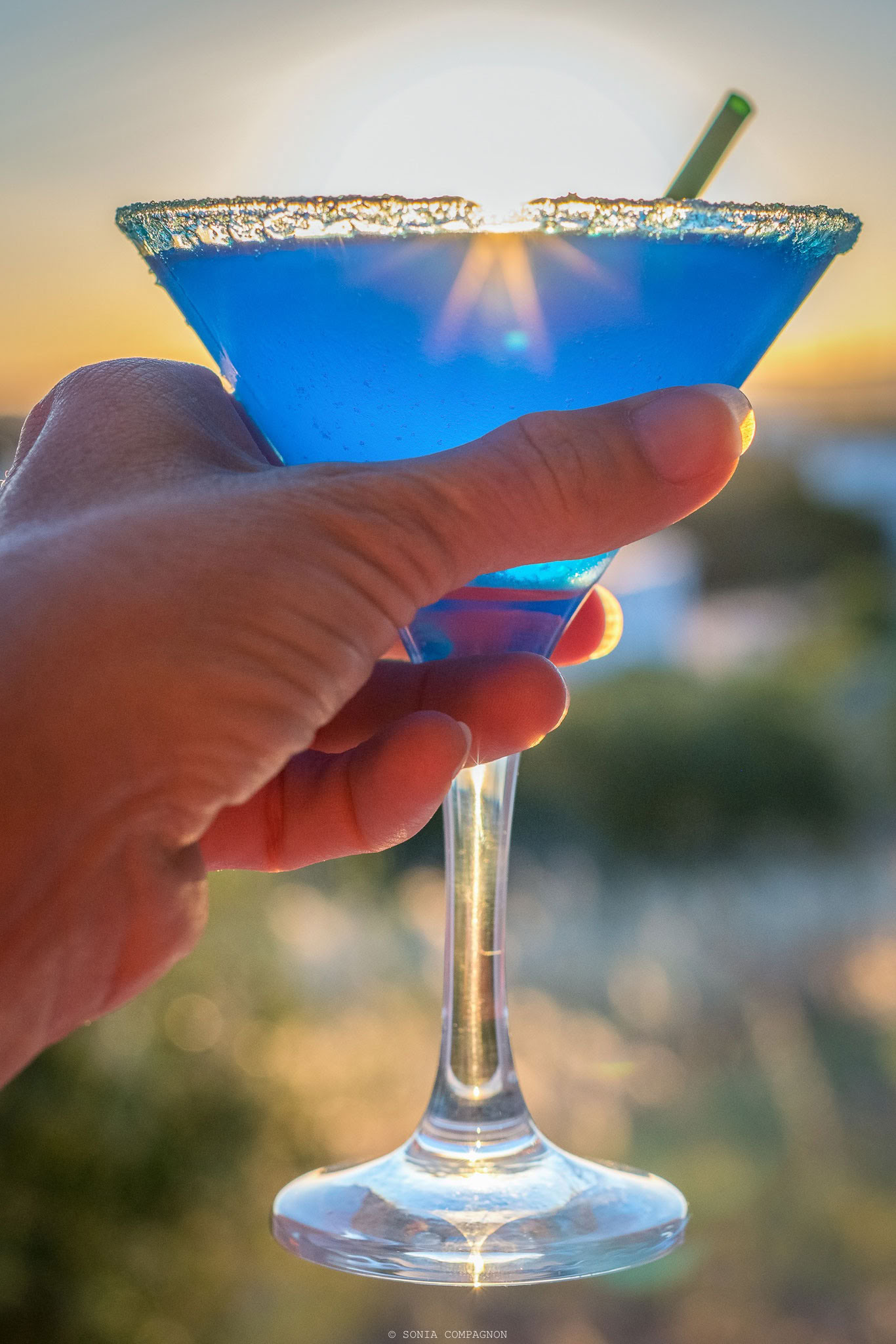 Yoga, Mindfulness and Walking Retreat in Portugal