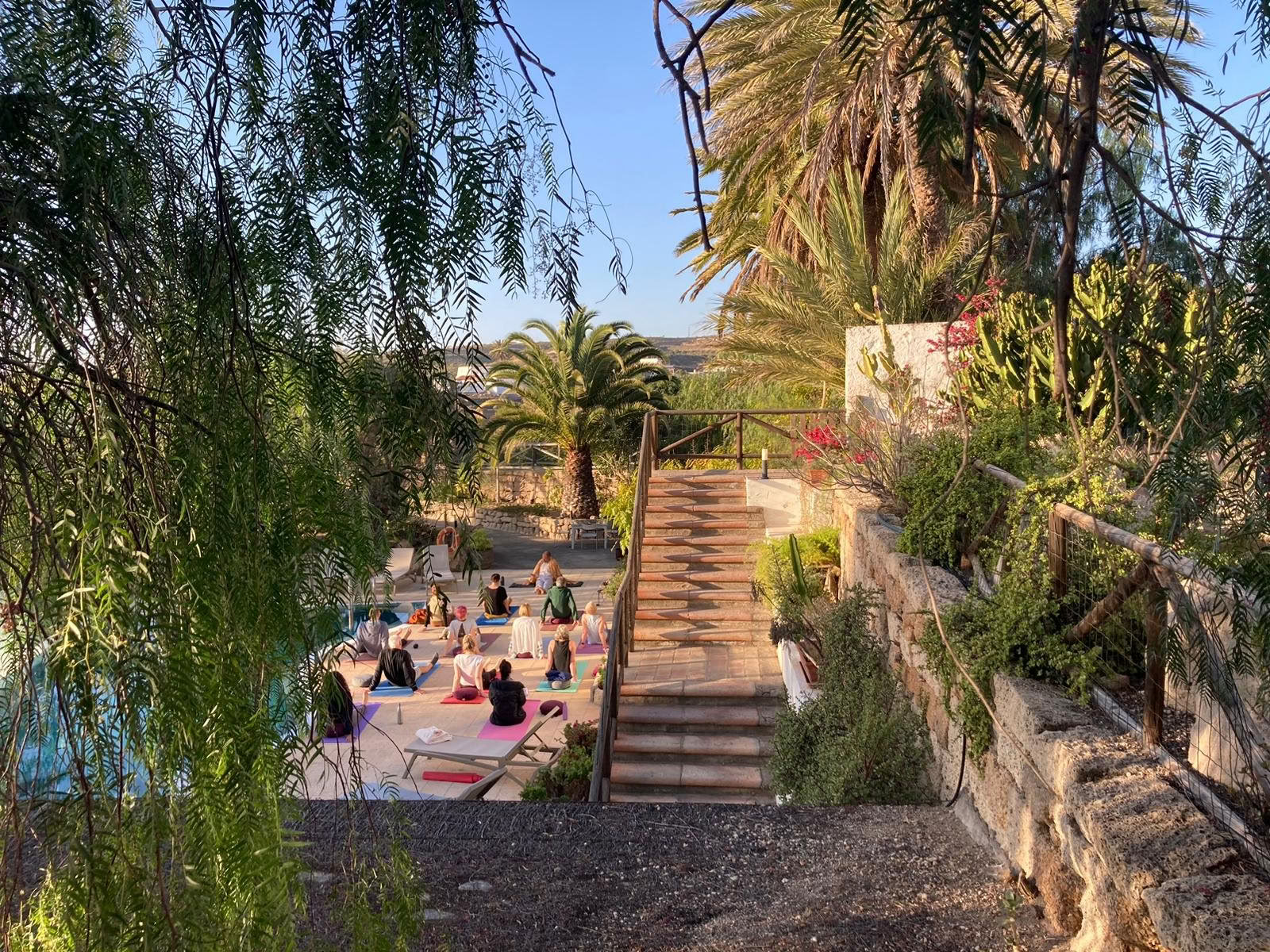 8 days mindfulness & yoga Retreat in Tenerife