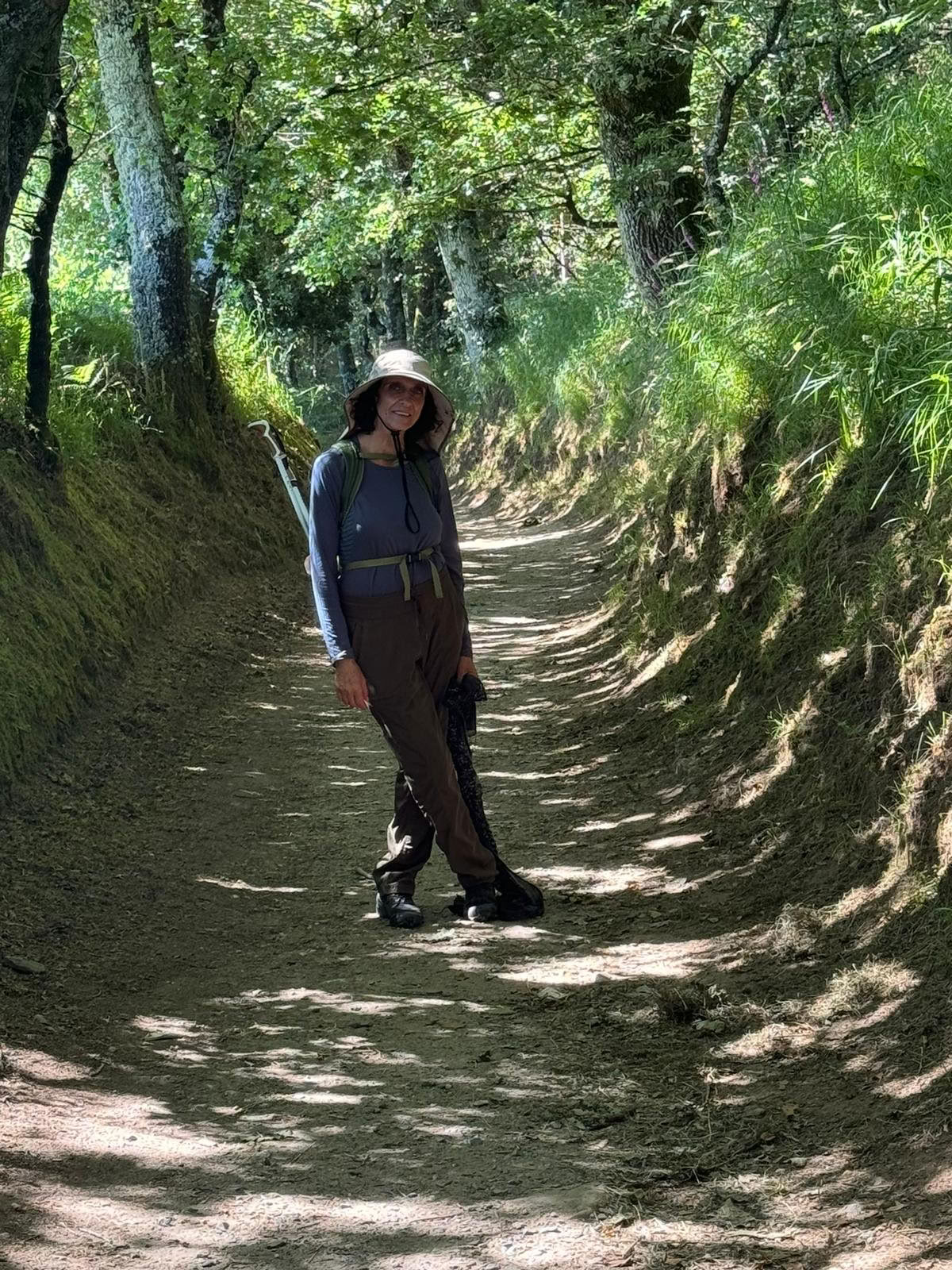 Camino Retreat 2026