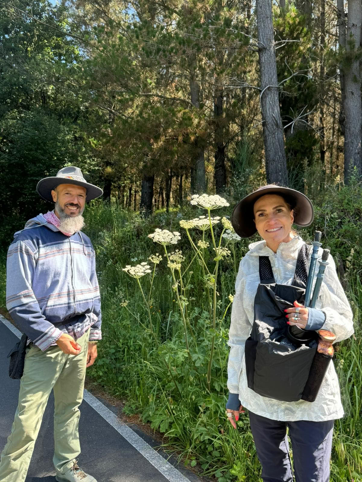 Camino Retreat 2026 (6 Days)