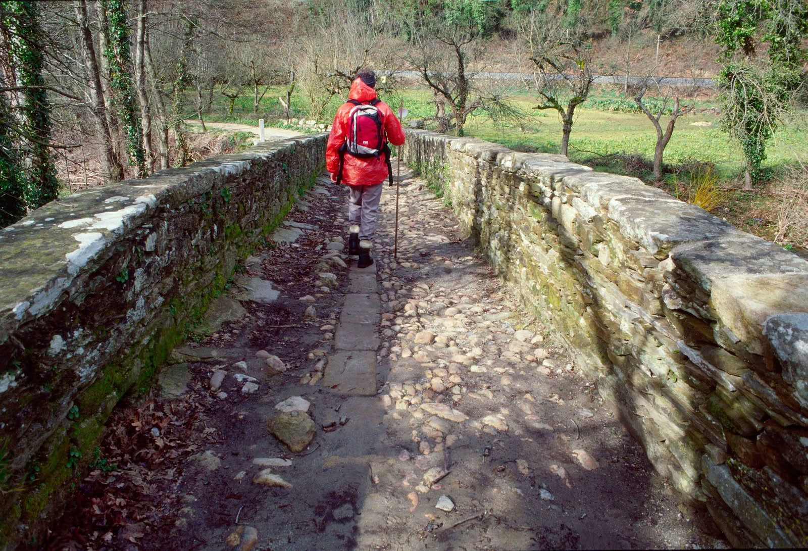 Camino Retreat 2026 (6 Days)