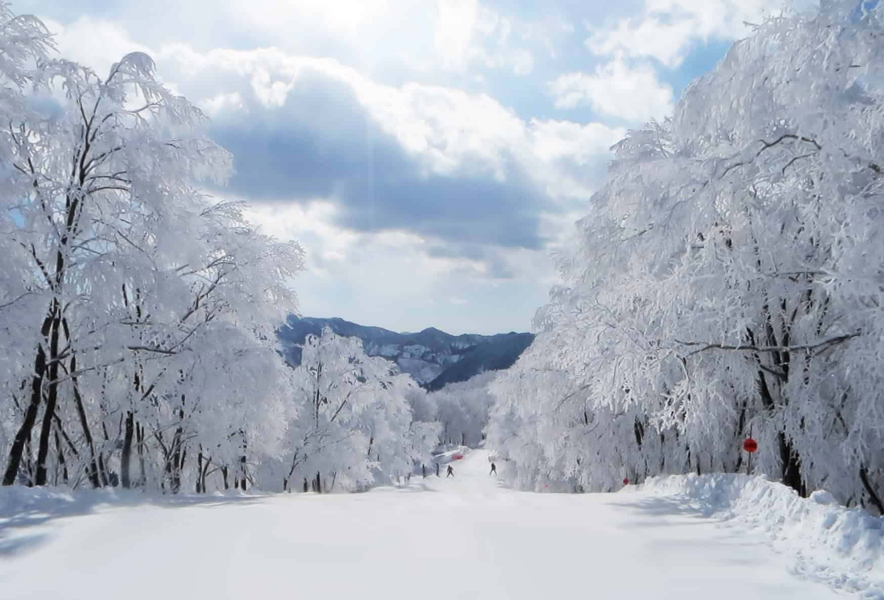 Snow Goddess Retreat
