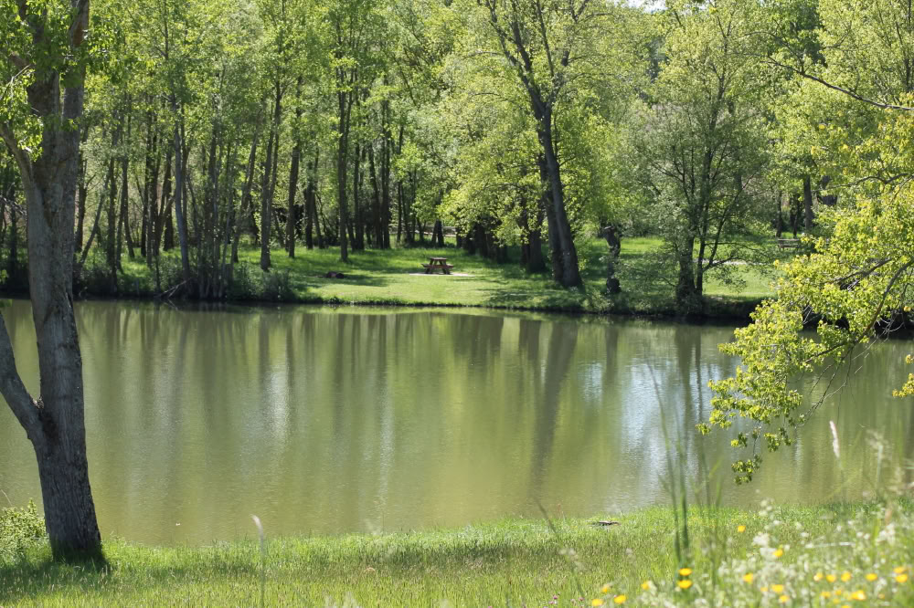 Walking for Wellbeing Retreat