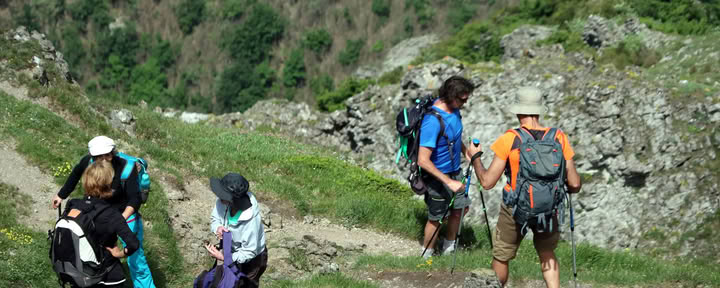 Walking for Wellbeing Retreat