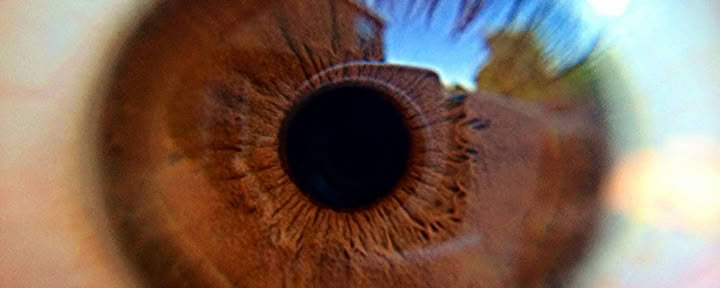 Past Life Regression - In-House