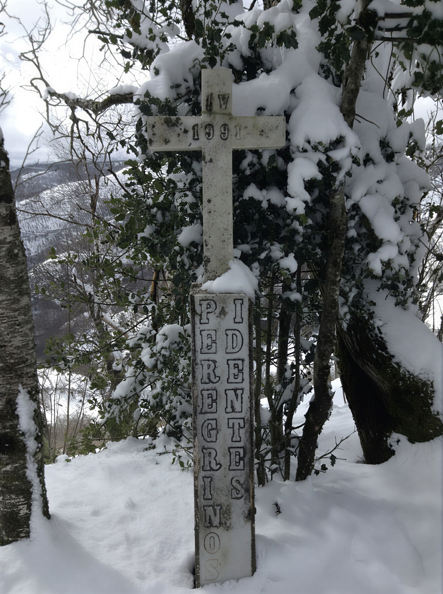 7-Day Camino Dreaming Training Retreat for Long-Distance Walkers