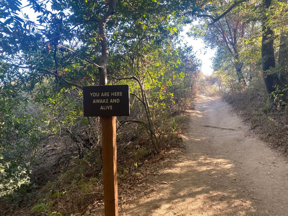 Healthy Heart Reset: A Path To Wellness